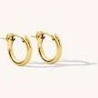 accessory Gold Filled Hoop Earrings Simple & Dainty $45