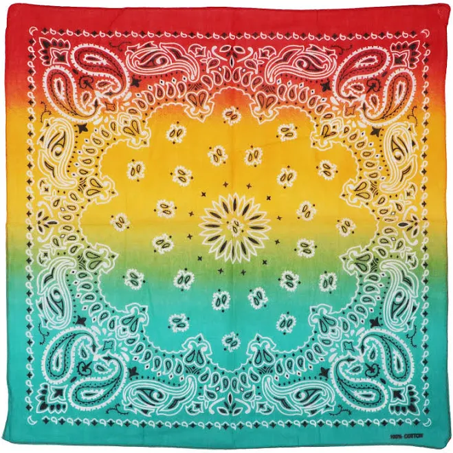 accessory Paisley Cotton Bandana Buckle and Hide Leather $5