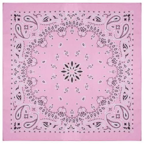 accessory Red - Bandana Hobby Lobby $0.99