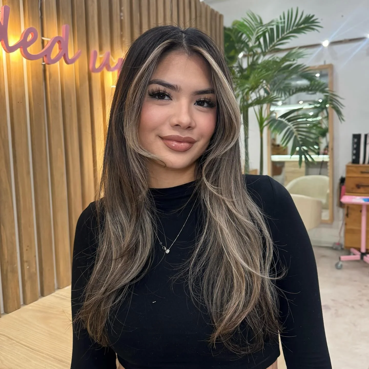 hair lowlights: color ideas and inspiration Cool Brunette Blend With Bright Contour Pieces