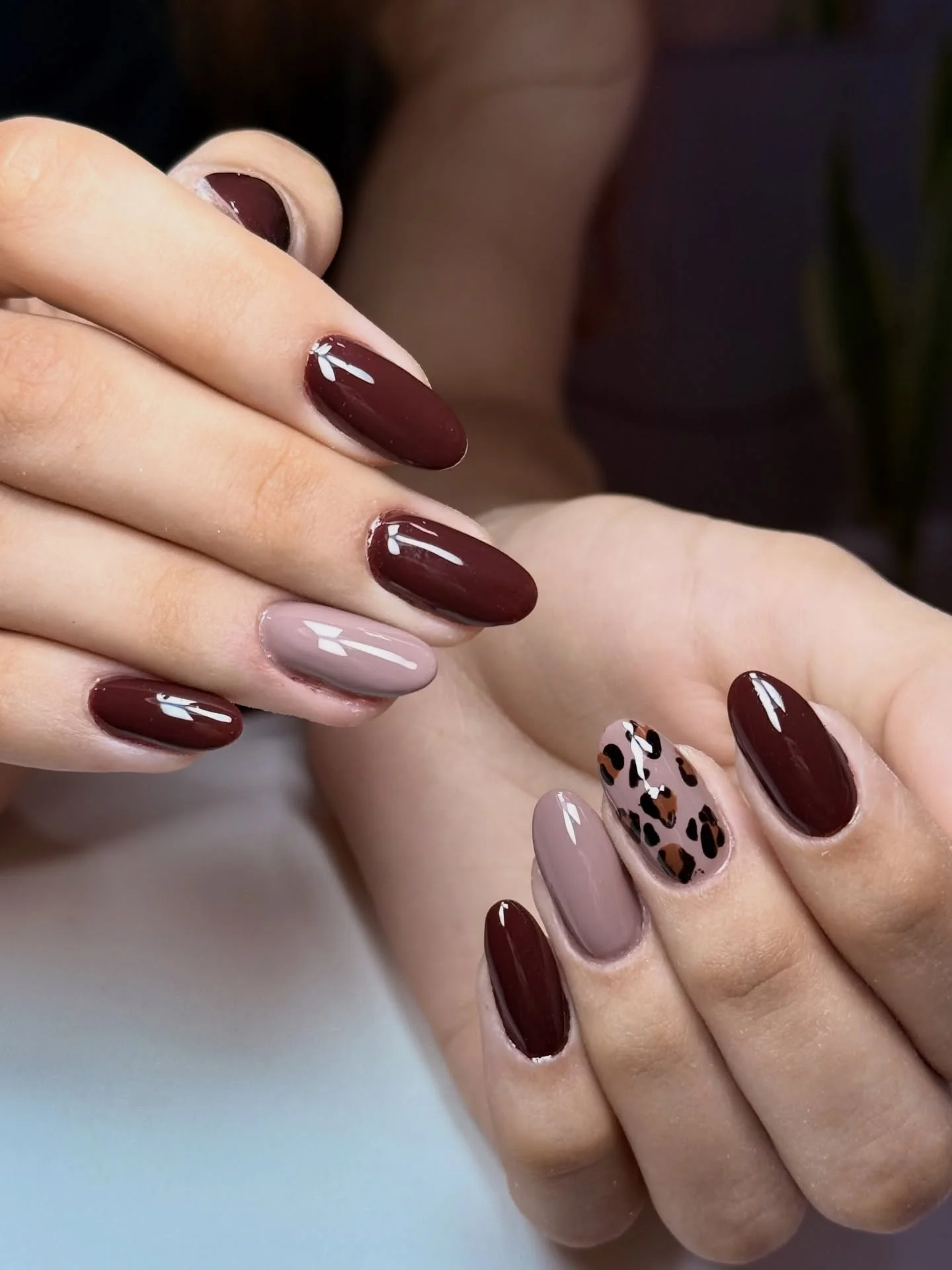 fall gel nails ideas 2026 Rich Espresso Nails With Chic Leopard Accent