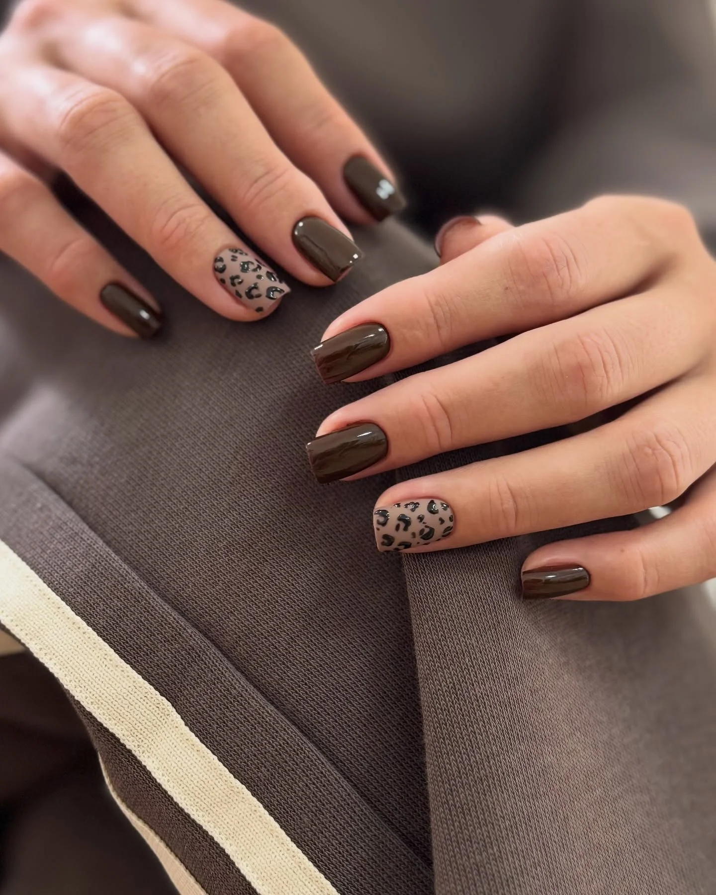 fall dark nail shadow ideas 2026 Glossy Mocha Nails With Leopard Accent Details