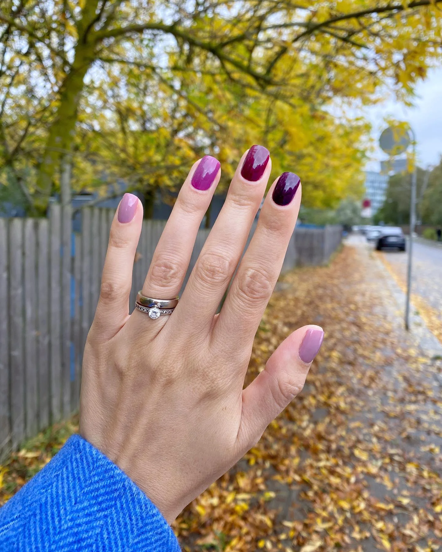 fall manicure colors 2026 Berry Plum With A Soft Autumn Contrast