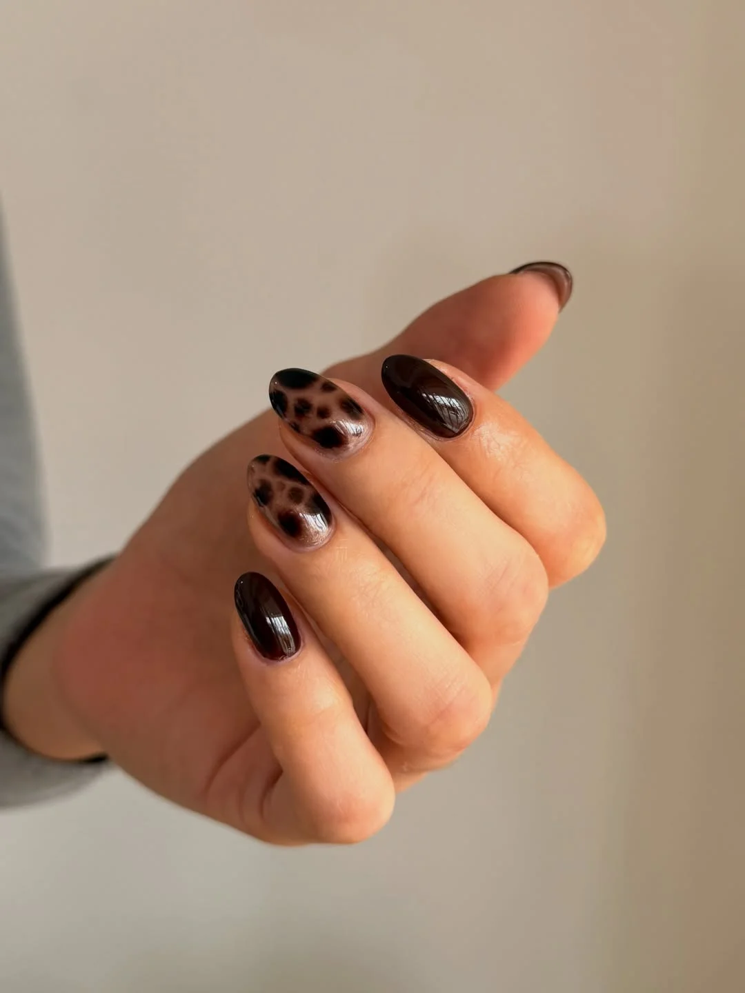 fall mid length nails 2026 Dark Espresso Nails With Chic Leopard Accent