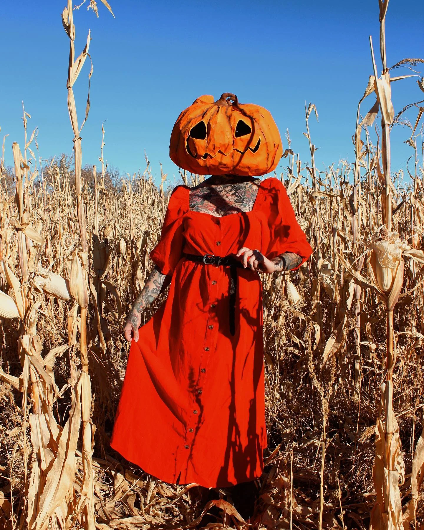 best halloween costume ideas 2026 Pumpkin-Inspired Autumn Statement Dress