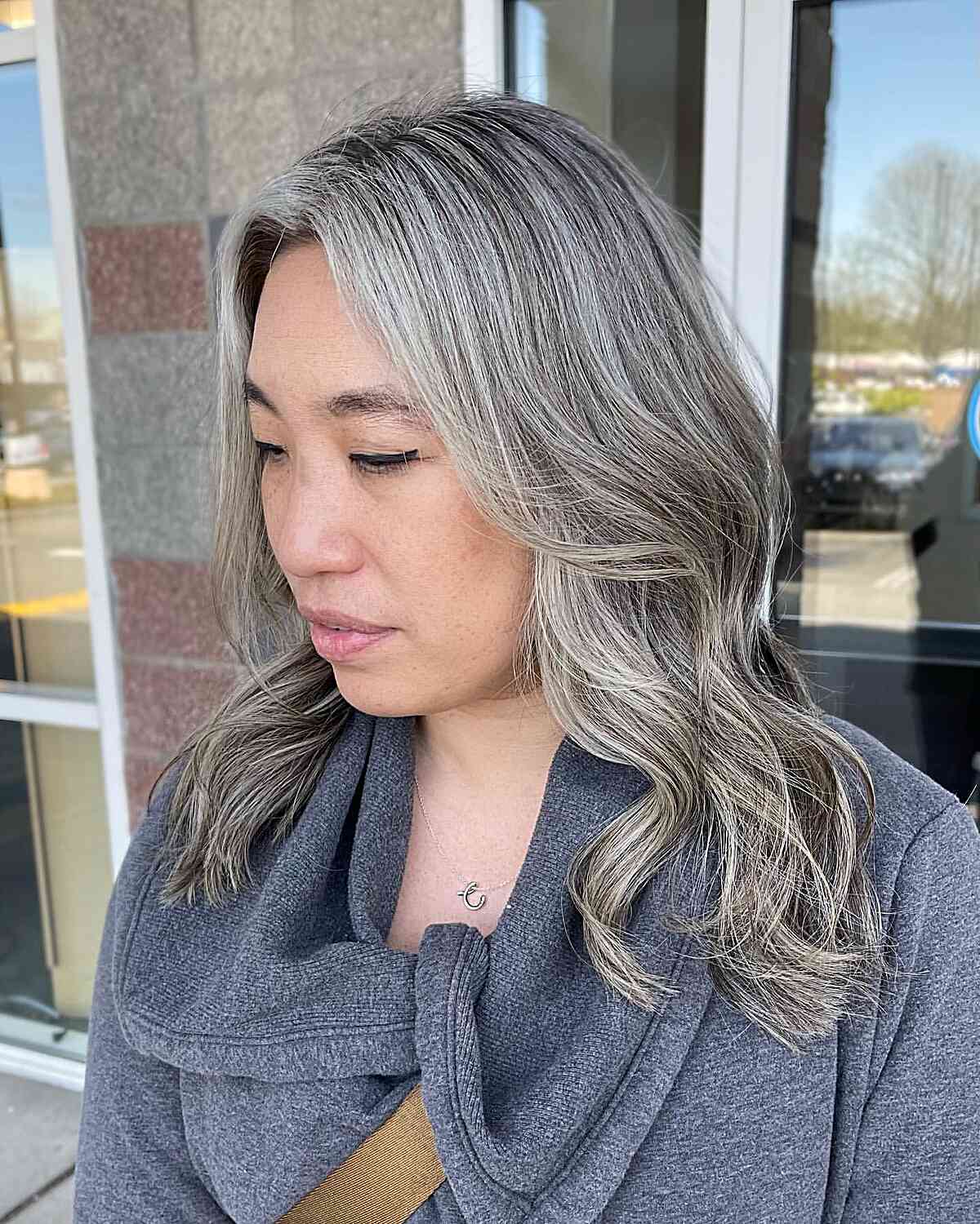 Mid-Back Dark Base With Gray Silver — Gray Blending Highlights