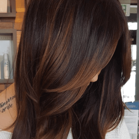 Rich Chestnut With Vibrant Coppery Highlights — Chestnut Brown Hair