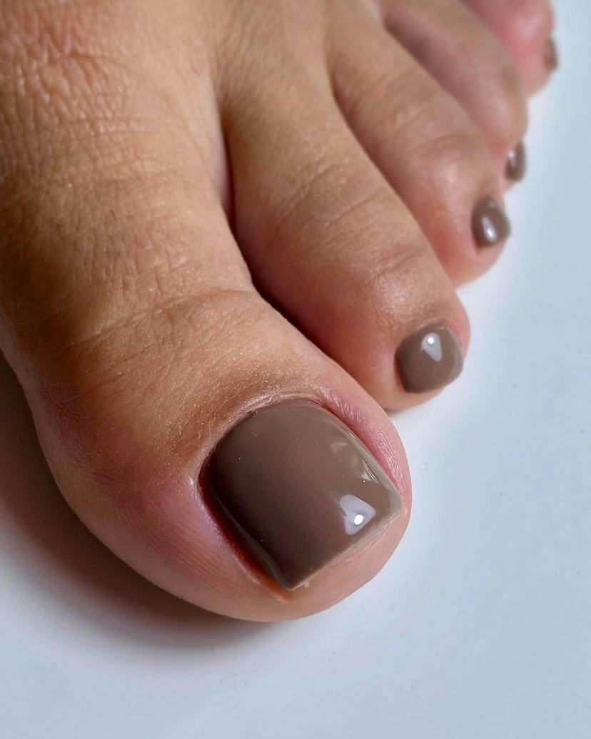 Glossy Taupe Neutral Pedicure — Winter Toe Nails