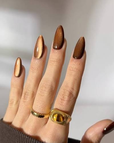 Magnetic Brown Cat Eye Almond Nails Magnetic Brown Cat Eye Almond Nails — brown nail designs