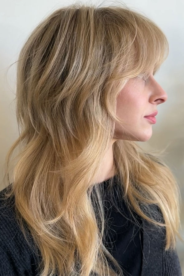 Collarbone Shag With Wispy Bangs and Side Part Collarbone Shag With Wispy Bangs and Side Part — Winter Shag Haircuts