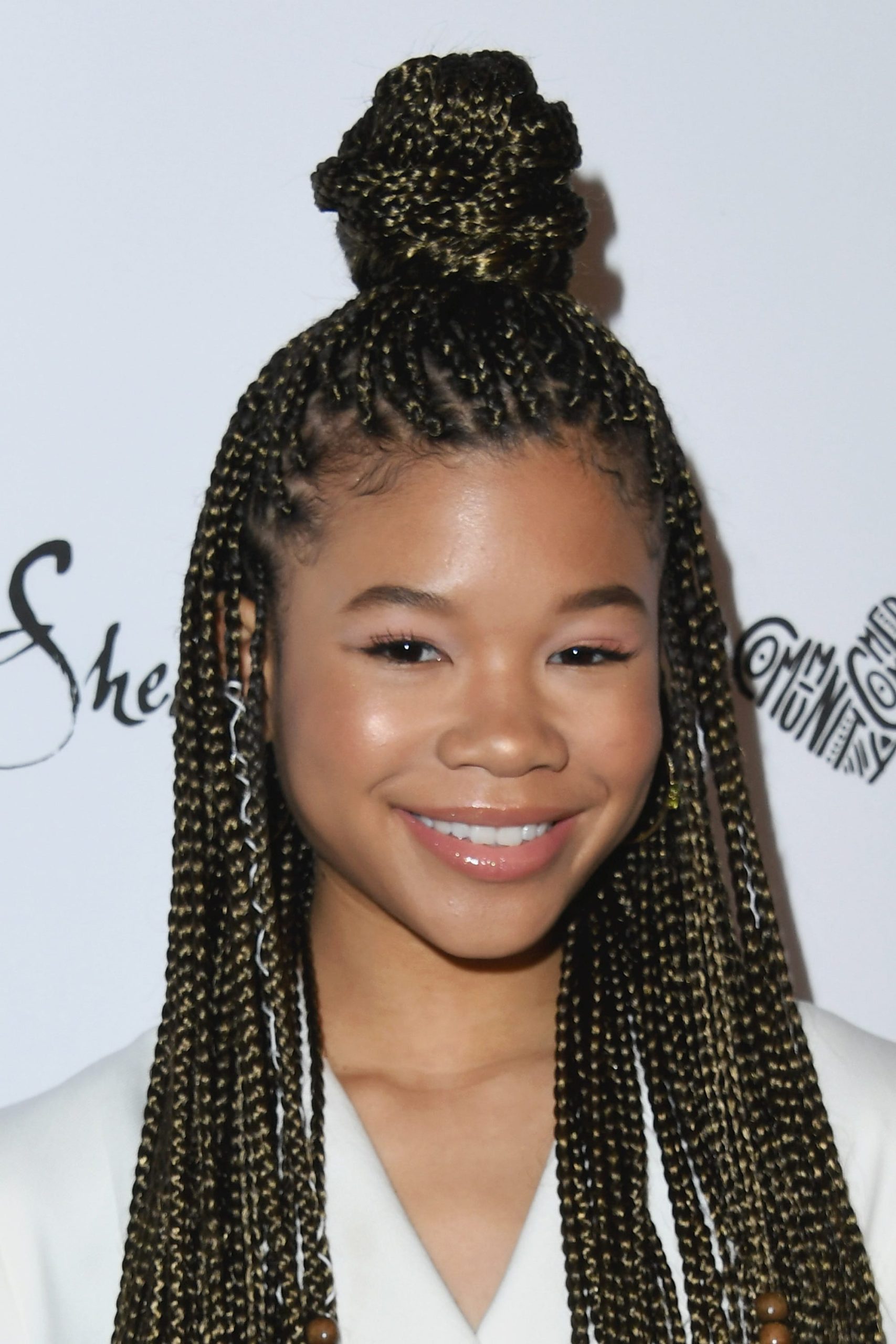Box Braids With Mixed Highlights — Winter Braid Colors for Black Women