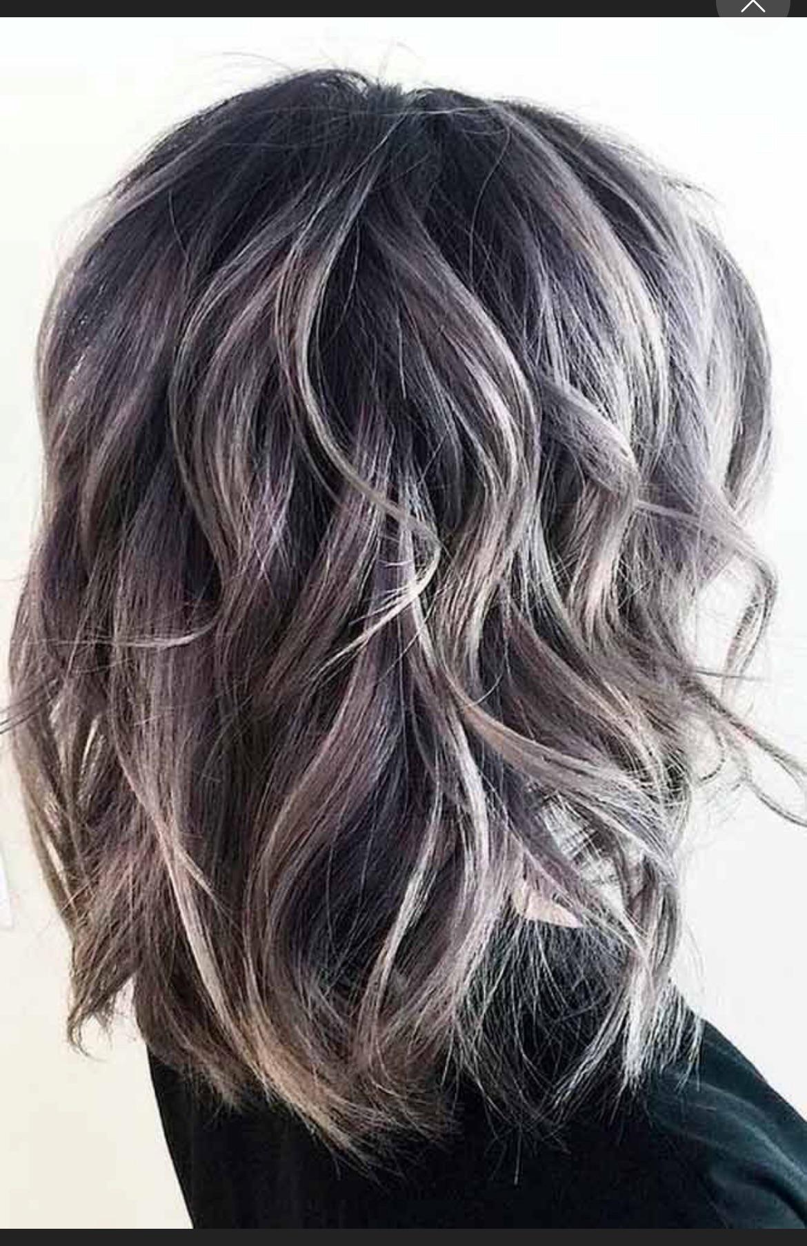 No Bangs Mid-Back Layers Dark Brown Gray Silver — Gray Blending Highlights