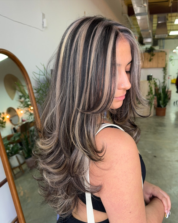 Dark Base With Chunky Ash Highlights — Lowlights for Blonde Hair