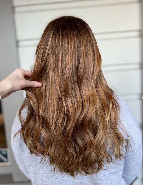 Medium Brown With Copper Highlights Medium Brown With Copper Highlights — Winter Copper Hair Color
