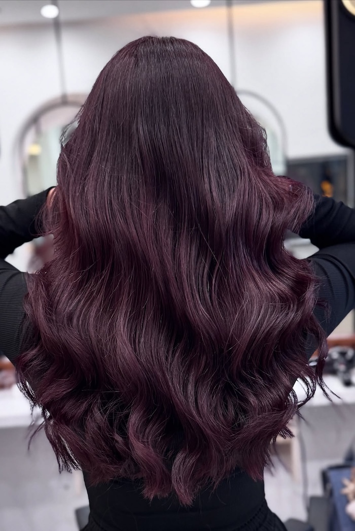 No Bangs Deep Plum With Burgundy Undertones — Dark Winter Hair Colors