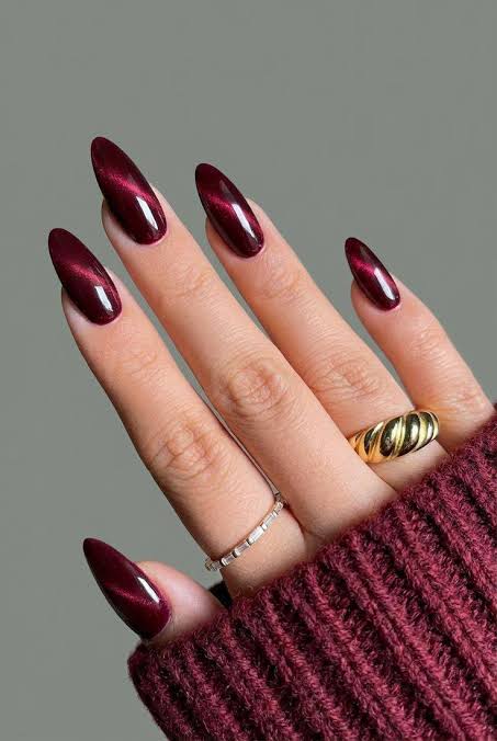 Captivating Burgundy Cat-Eye Stilettos Captivating Burgundy Cat-Eye Stilettos — Burgundy Nails