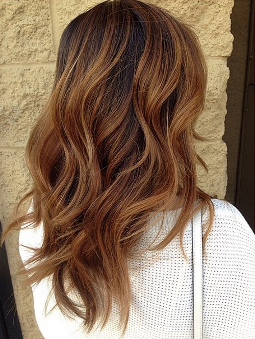 Mid-Back Dark Brown With Chestnut Balayage Blend — Chestnut Brown Hair