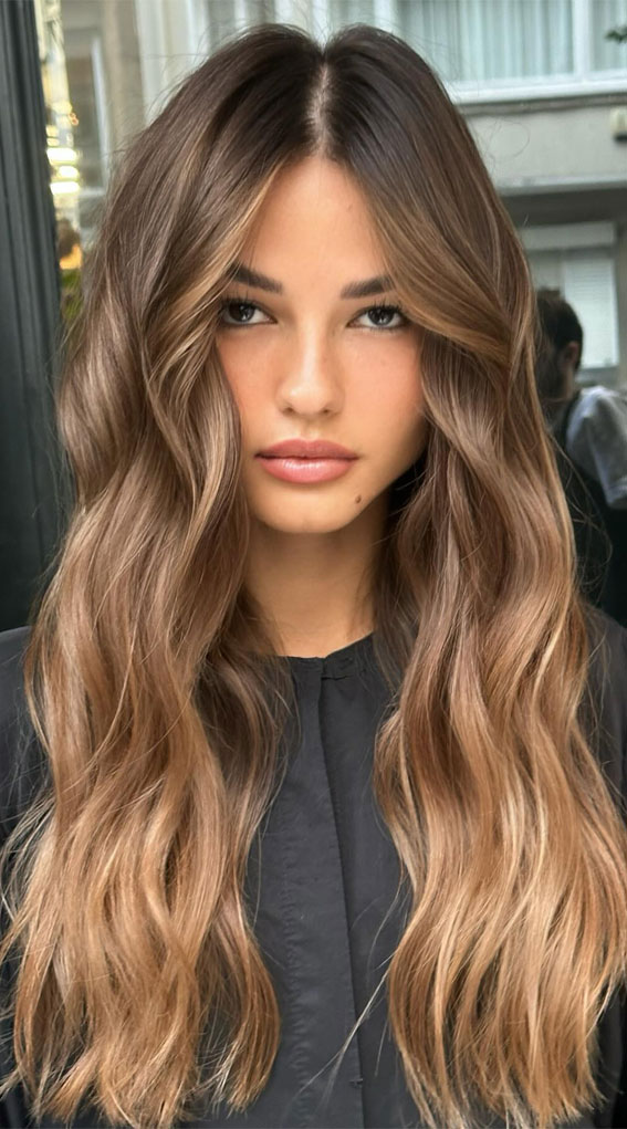 Dark Brown to Honey Blonde Loose Waves Dark Brown to Honey Blonde Loose Waves — Winter Ombre Hair