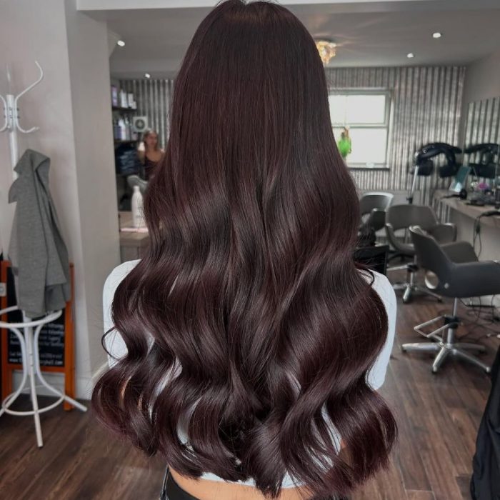 Mid-Back Deep Plum Brown Base — Dark Winter Hair Colors