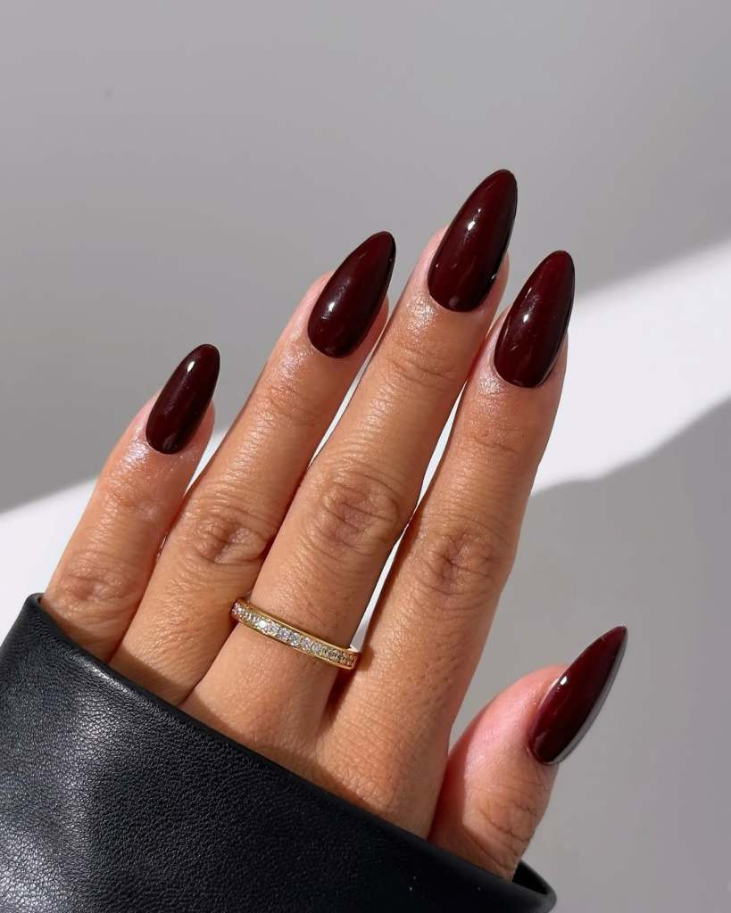 High Gloss Dark Brown Glossy Stiletto Nails High Gloss Dark Brown Glossy Stiletto Nails — Everyday Winter Nails