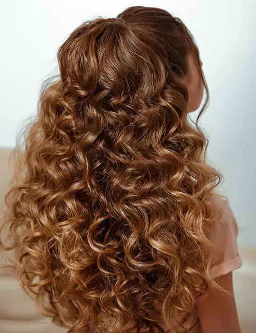 High Ponytail With Caramel Highlights High Ponytail With Caramel Highlights — Winter Haircuts for Thick Hair