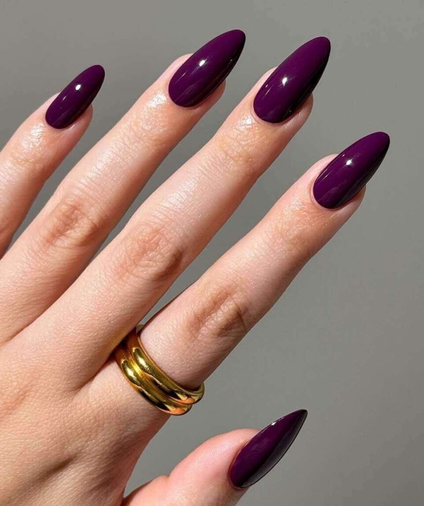 High Gloss Deep Plum Glossy Stiletto High Gloss Deep Plum Glossy Stiletto — Winter Stiletto Nails