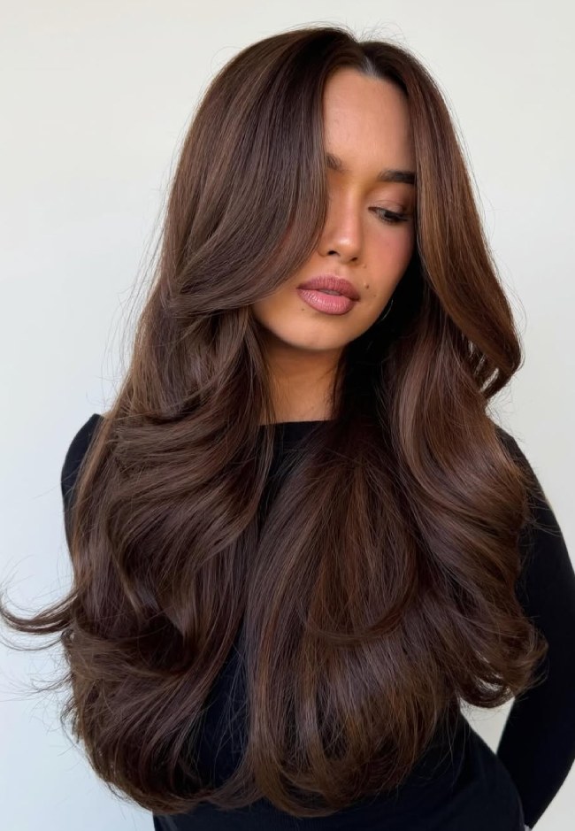 Mid-Back Voluminous Layered Blowout — Dark Chocolate Brown Hair