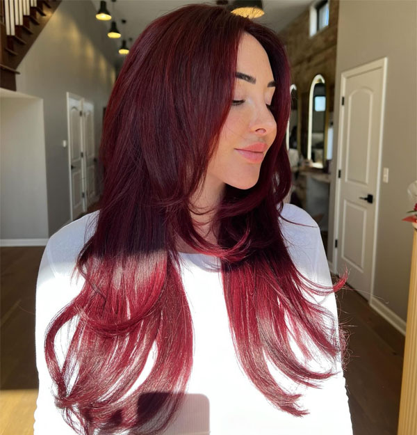 Long Layers Mid-Back Deep Plum With Burgundy Undertones — Plum Hair Color