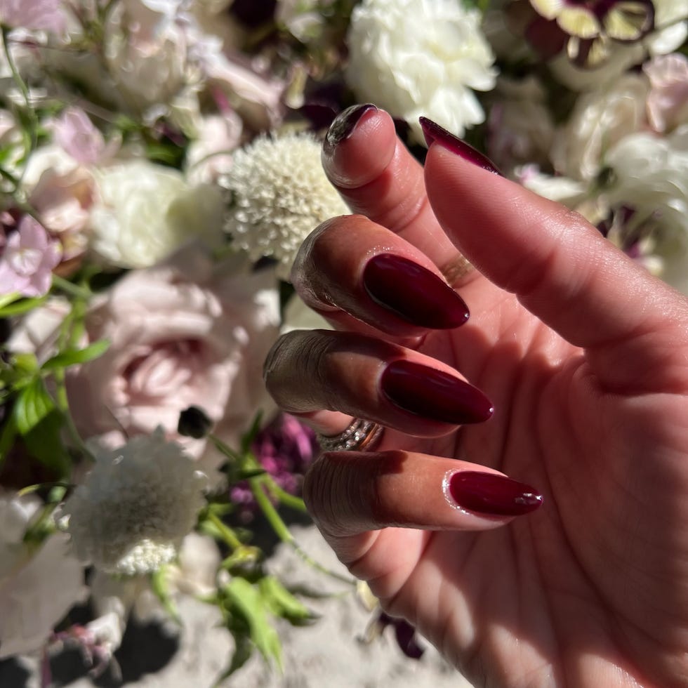 Vibrant Glossy Dark Cherry Stilettos Vibrant Glossy Dark Cherry Stilettos — Black Cherry Nails
