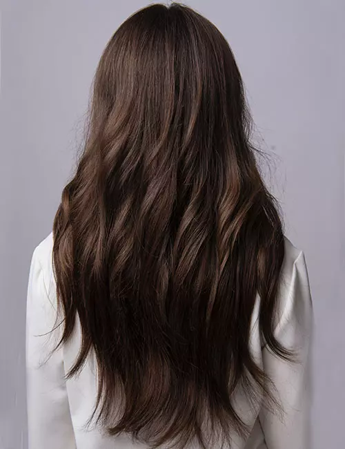 Long Layers Back View Long Layers Back View — Winter Haircuts for Thick Hair