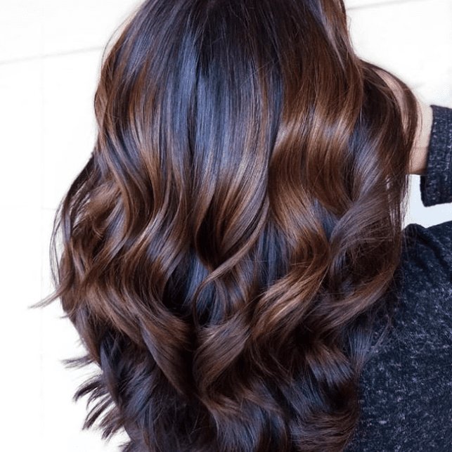 Rich Chestnut With Subtle Dimension — Chestnut Brown Hair