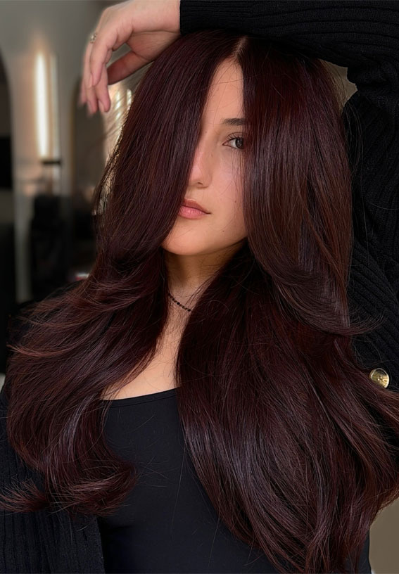 Rich Plum With Auburn Highlights — Dark Winter Hair Colors