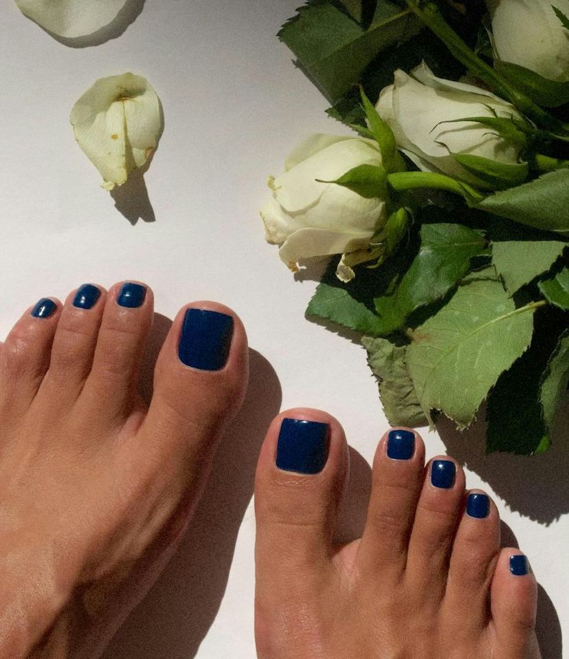 Vibrant Glossy Navy Blue Vibrant Glossy Navy Blue — Winter Pedicure Colors