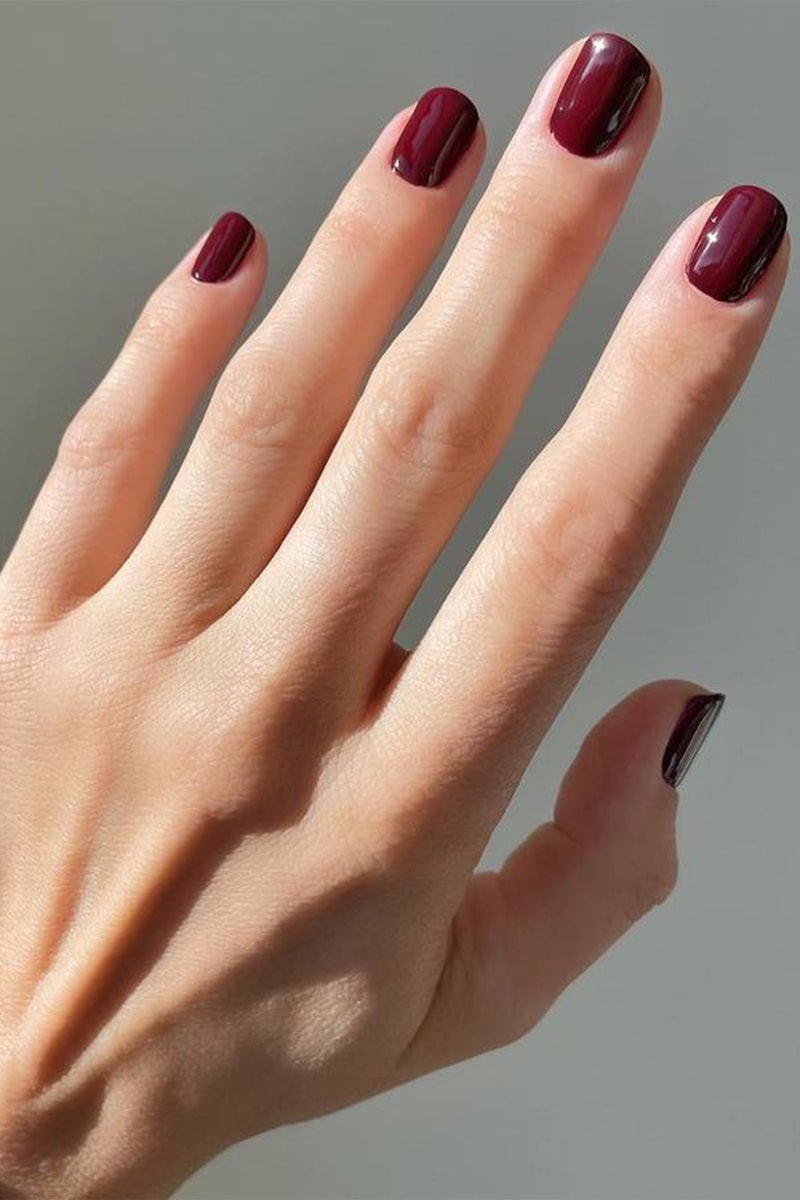 Short Square Deep Burgundy Brown Nails — Mocha Nails