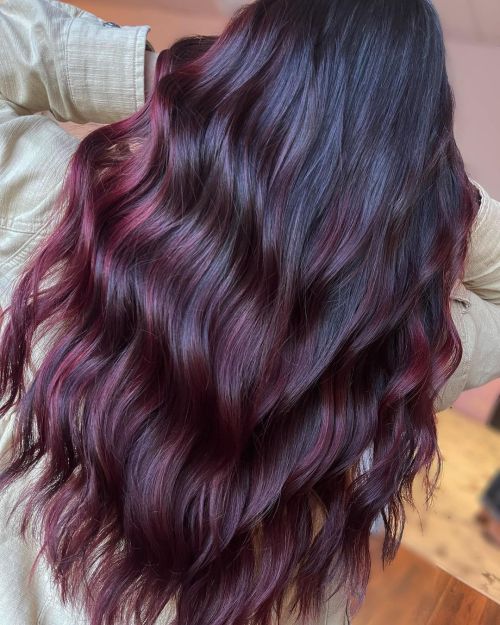 No Bangs Mid-Back Dark Base With Deep Plum Highlights — Plum Hair Color