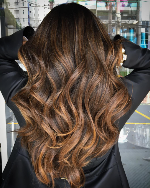Mid-Back Dark Brown With Copper Caramel Highlights Mid-Back Dark Brown With Copper Caramel Highlights — Winter Brown Hair Colors