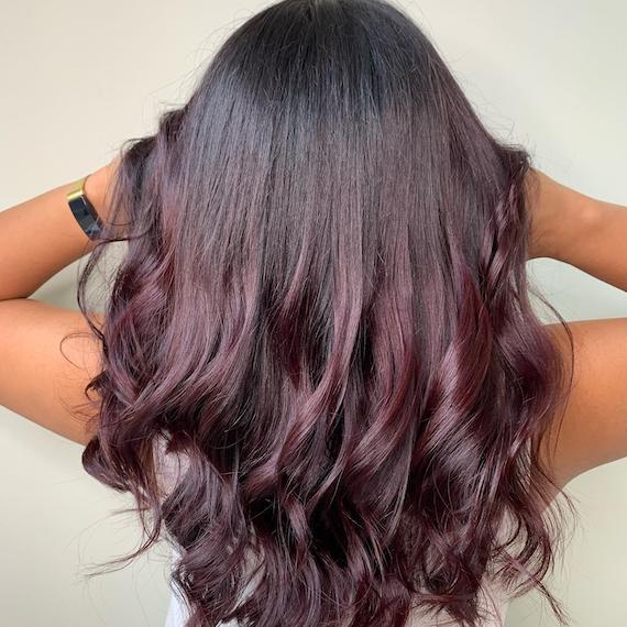 Back View Dark Plum With Lighter Highlights — Plum Hair Color