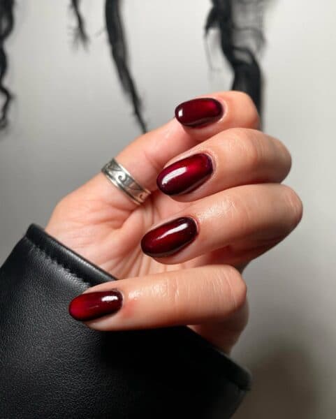 Red to Black Jelly Gradient Nails Red to Black Jelly Gradient Nails — Fall to Winter Nails