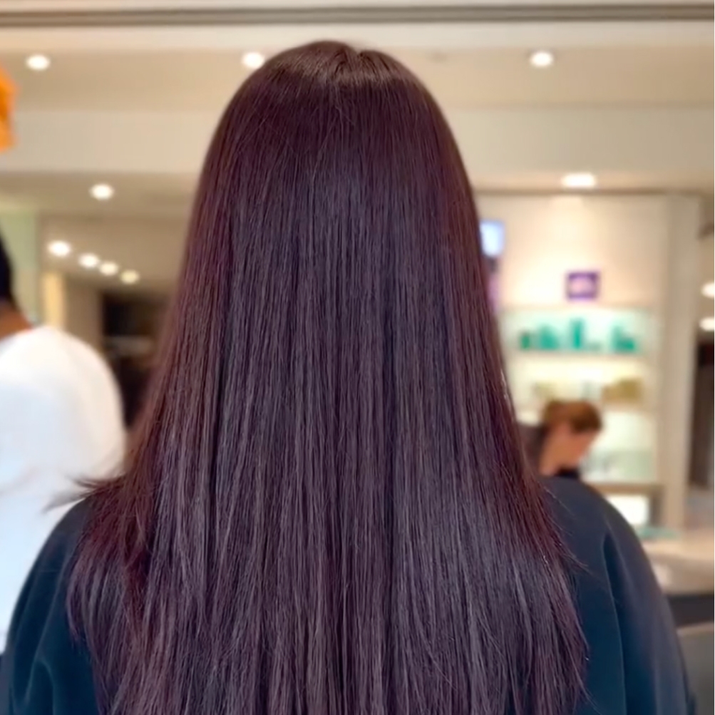 Deep Plum Straight Hair — Winter Hair Colors