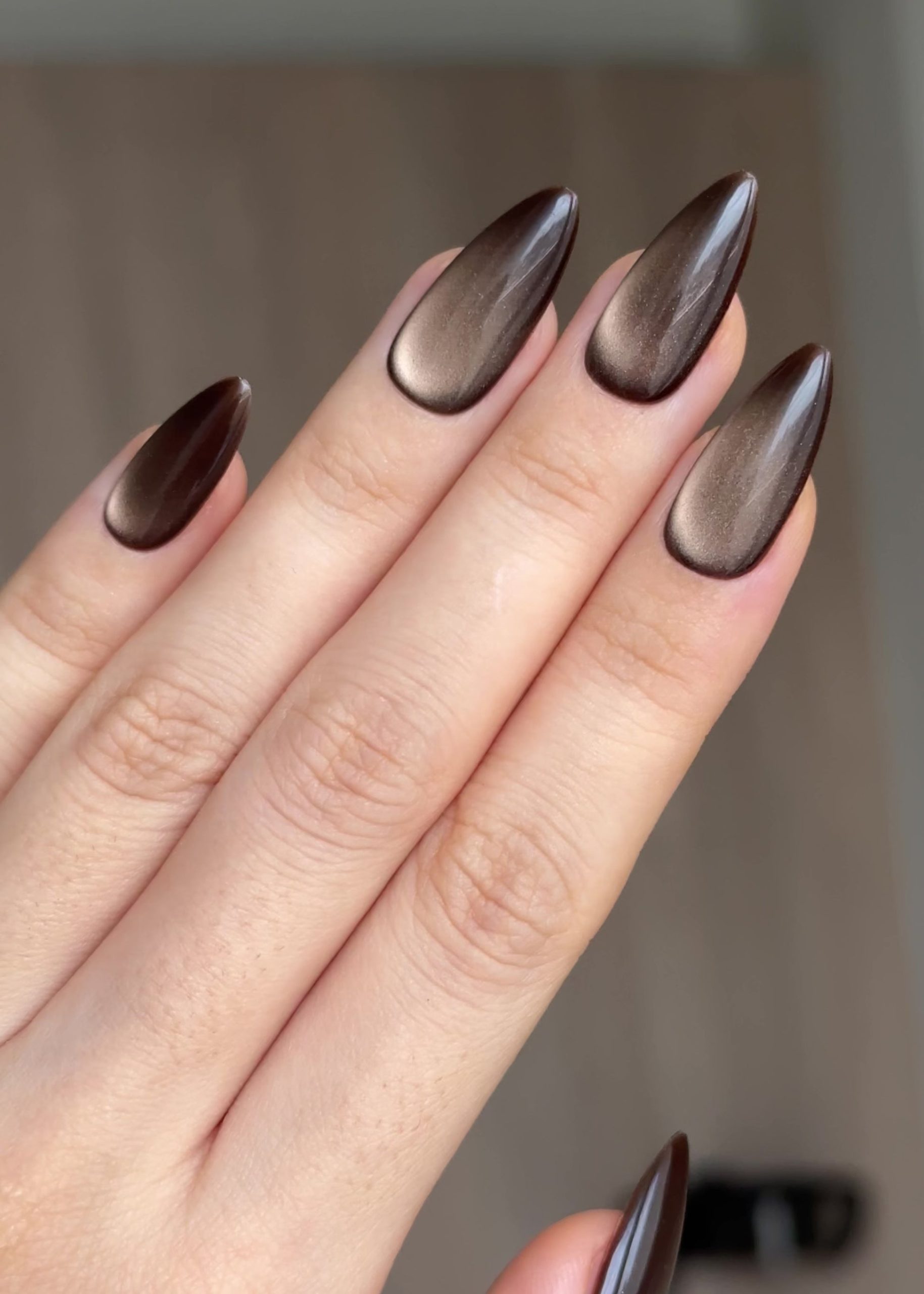 Rich Chocolate Brown Cat Eye Rich Chocolate Brown Cat Eye — Winter Cat Eye Nails