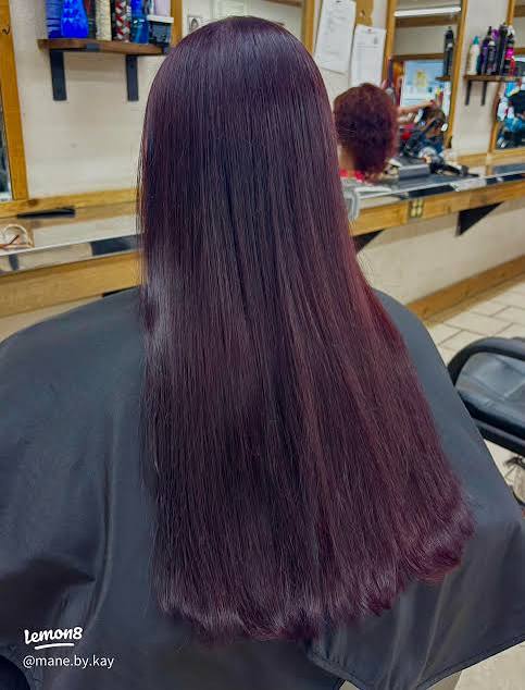 Sleek Mid-Back Plum With Cool Undertones — Plum Hair Color