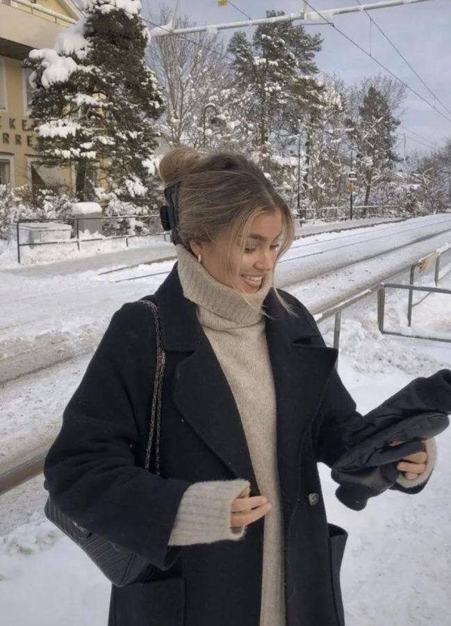 Black Wool Coat Over Beige Turtleneck in Snowy Setting Black Wool Coat Over Beige Turtleneck in Snowy Setting — Neutral Winter Outfits