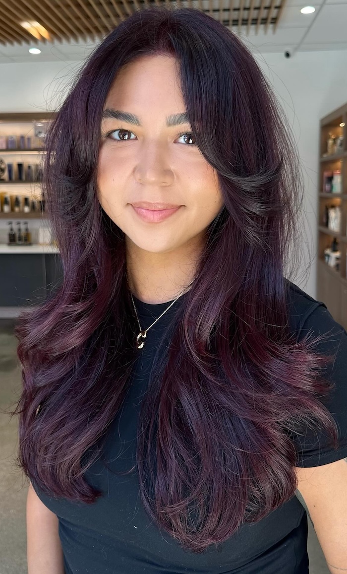 Deep Aubergine Plum Base — Dark Winter Hair Colors