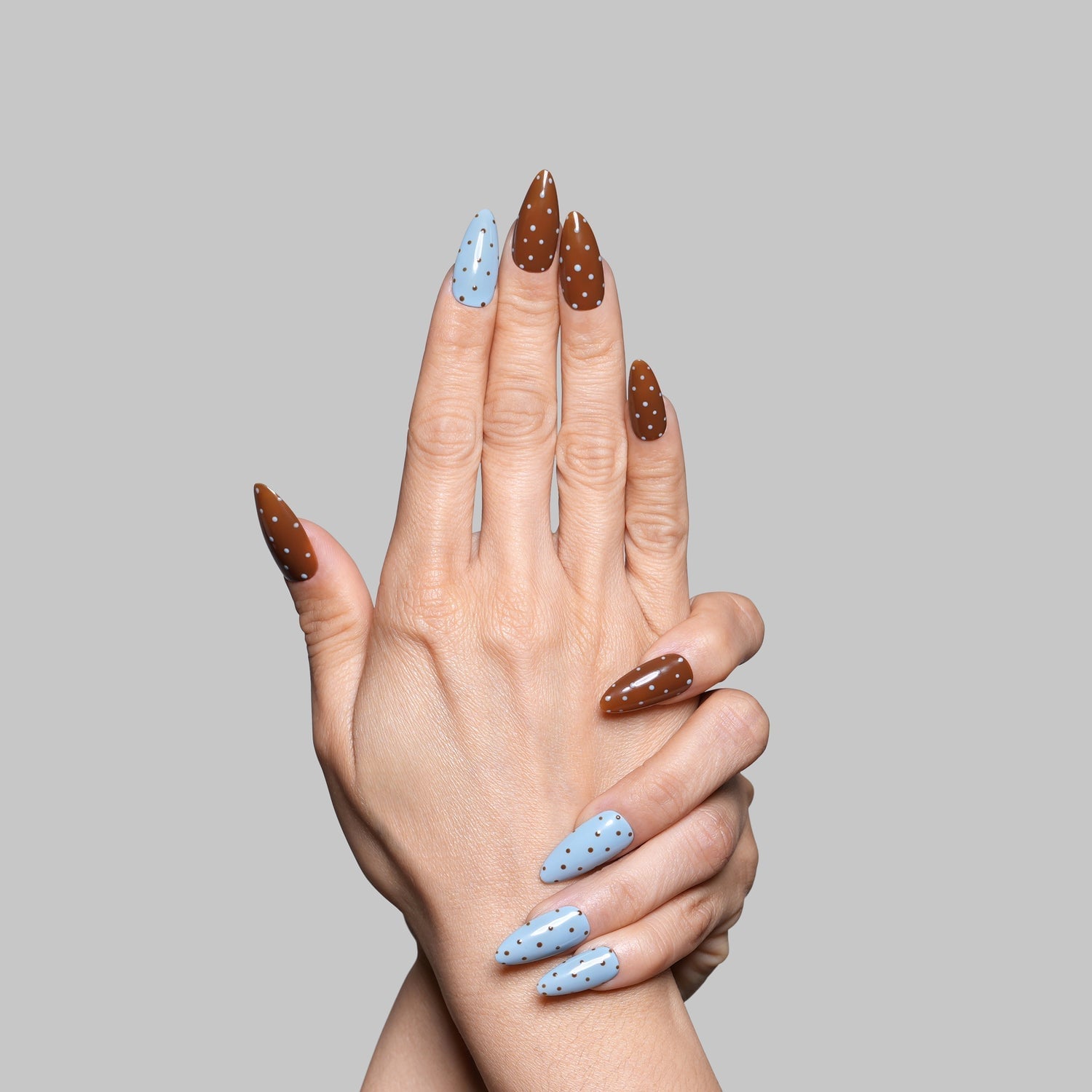 Brown and Light Blue Polka Dot Almond Nails — Almond Press On Nails