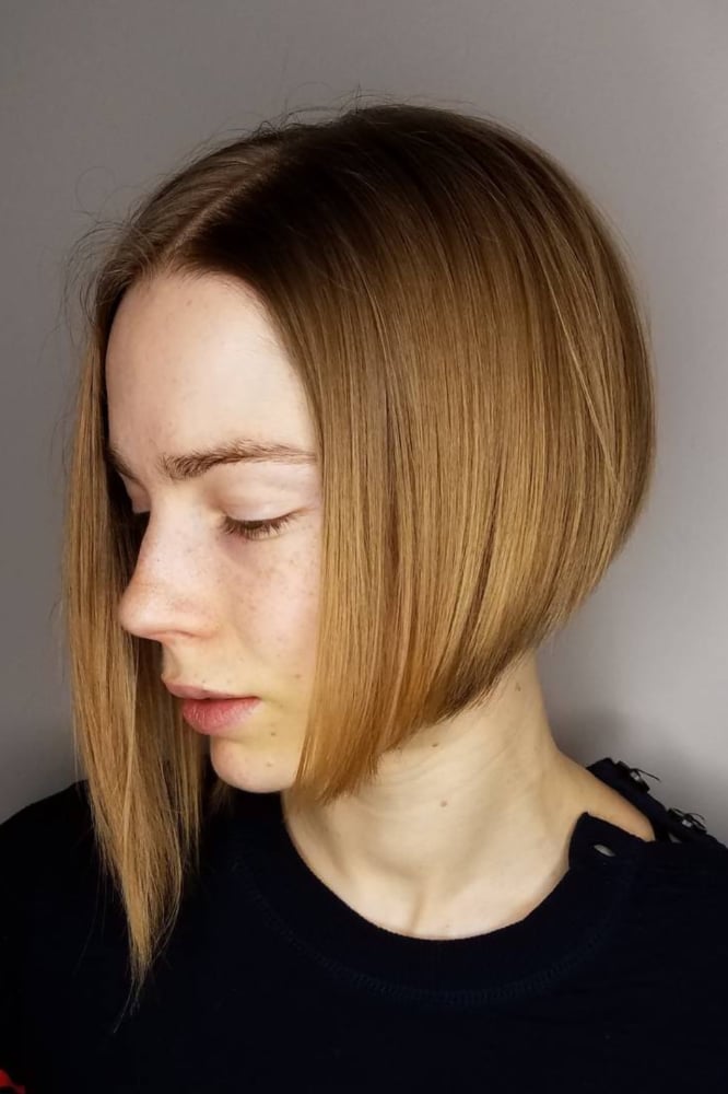 Fine Dark Blonde Asymmetrical Bob With Lighter Ends
