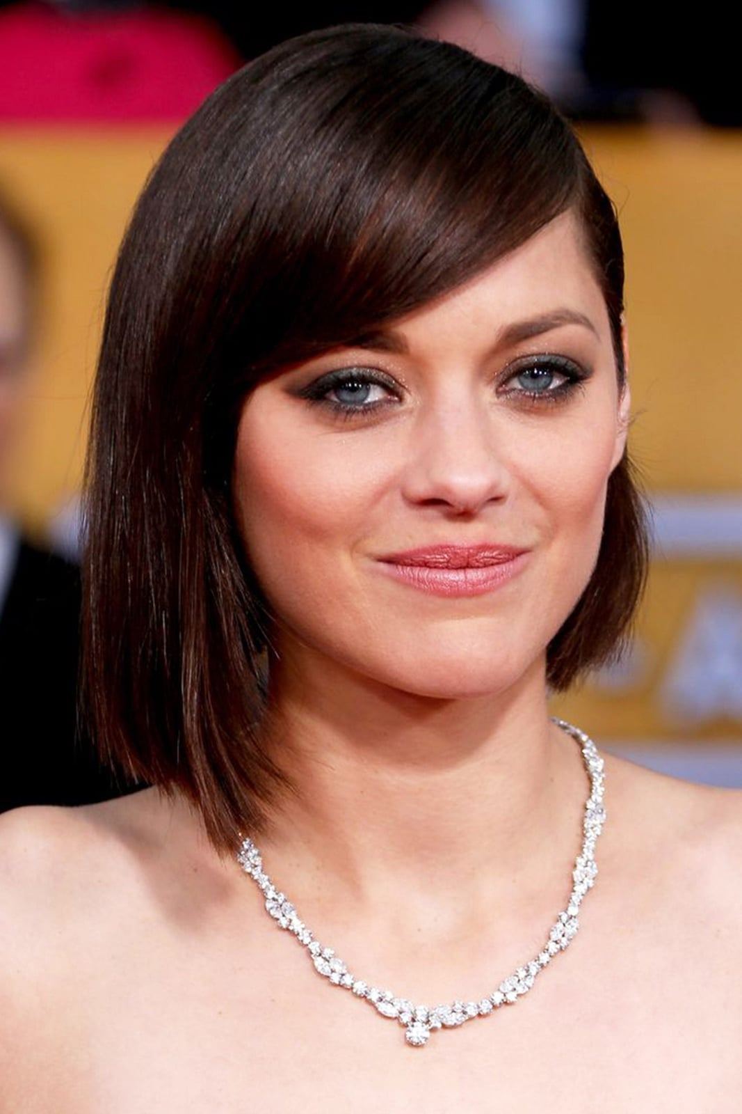 Fine Dark Brown Asymmetrical Bob — Asymmetrical Lob