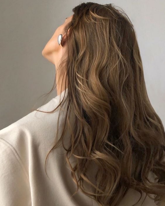 Medium Brown Honey Blonde Balayage Back View Medium Brown Honey Blonde Balayage Back View — Balayage on Long Hair