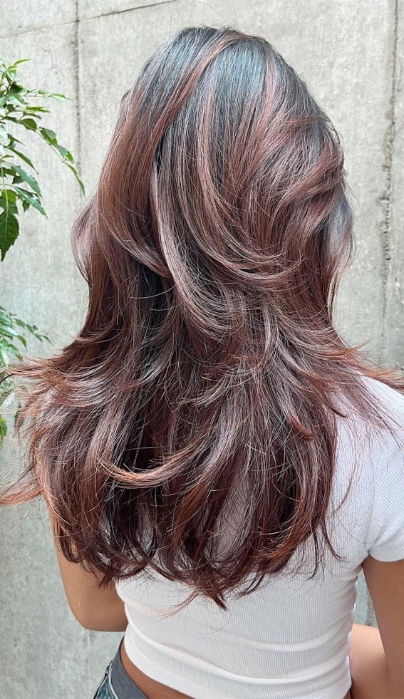 Cola Tone Balayage With Layered Blowout Cola Tone Balayage With Layered Blowout — Balayage on Long Hair