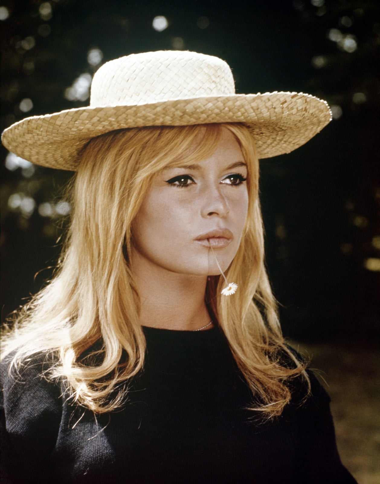 Honey Blonde Bardot Bangs With Volume