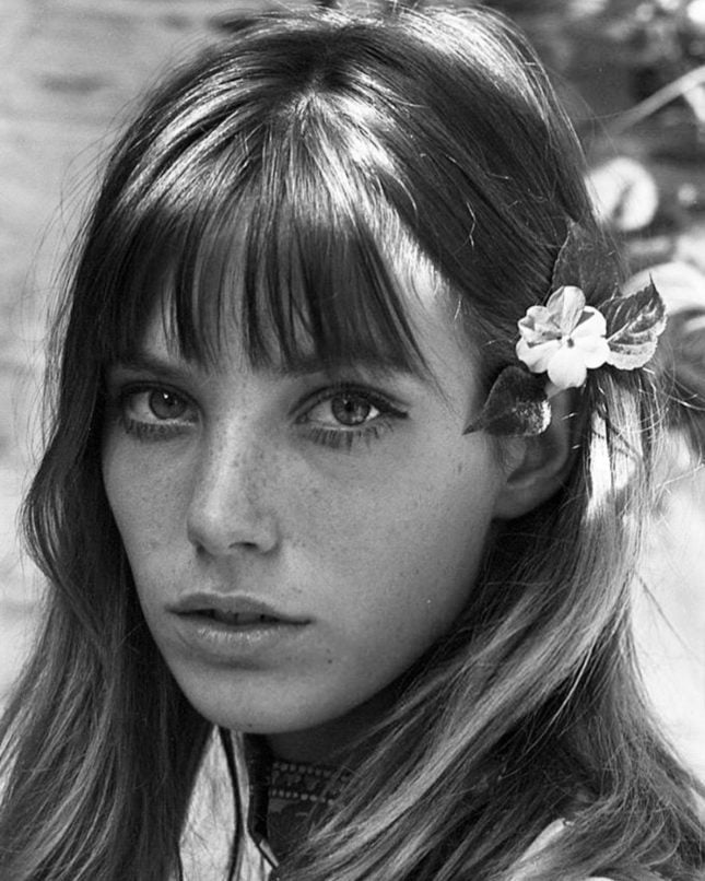 Collarbone Layers With Dark Brown Birkin Bangs, Wavy Collarbone Layers With Dark Brown Birkin Bangs, Wavy